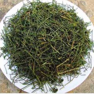 Giảo Cổ Lam