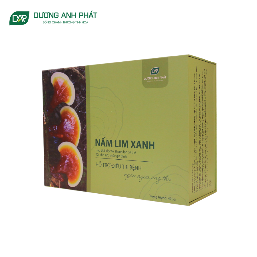 nấm lim xanh (2)