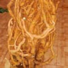 Rễ đinh lăng