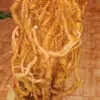 Rễ đinh lăng