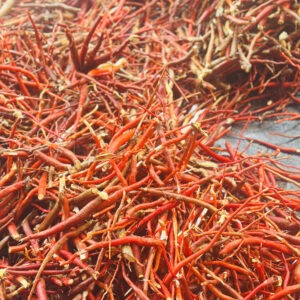 Sâm cau Tây Bắc