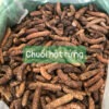 Chuối Hột Rừng