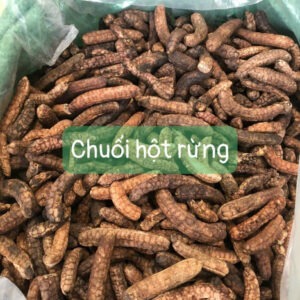 Chuối Hột Rừng