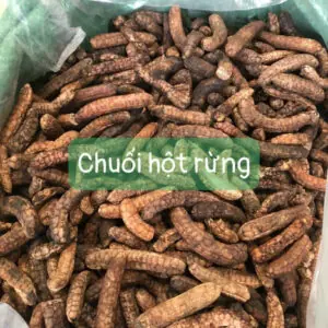 Chuối Hột Rừng